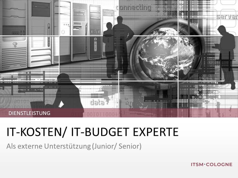 IT-Kosten/ IT-Budget Experte als externe Unterstützung (Junior/ Senior)