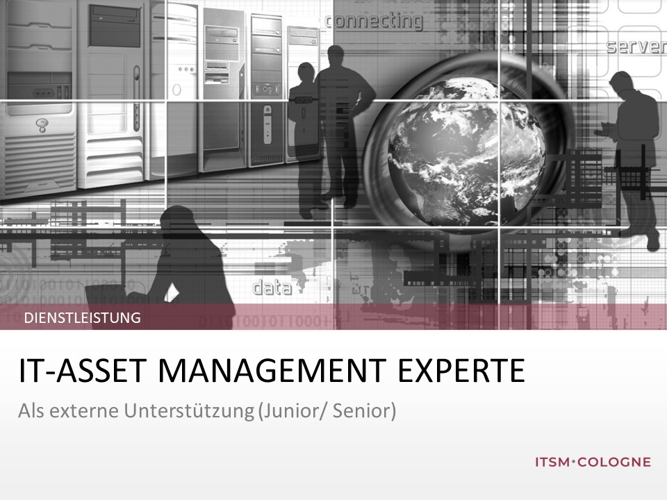 IT-Asset Management Experte als externe Unterstützung (Junior/ Senior)